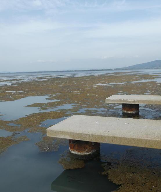 Laguna, futuro incerto e carte in mano ai legali 