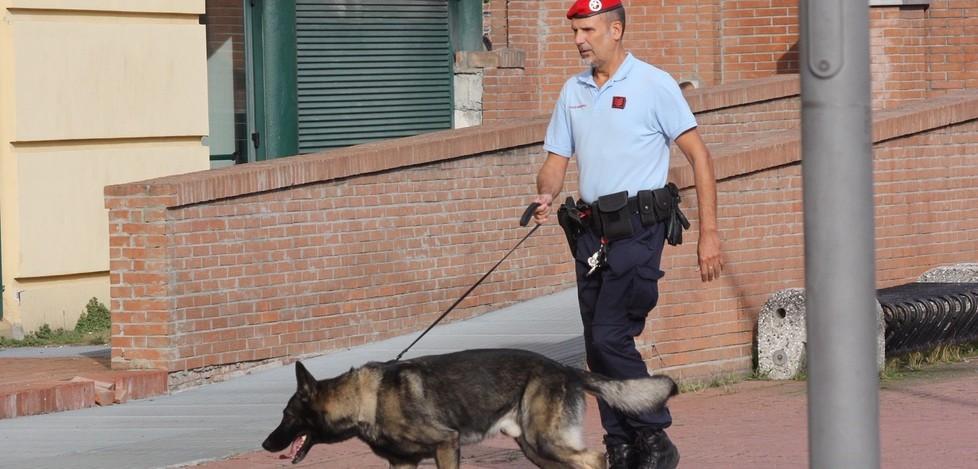 In bici e coi cani, il pattugliamento della Municipale 
