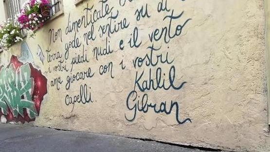 Adotta un vicolo: il circolo festeggia un anno dell'iniziativa contro l'abbandono