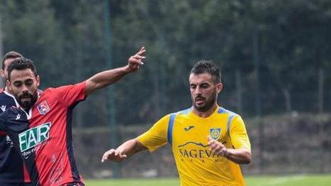 conson ok bene anche damiani