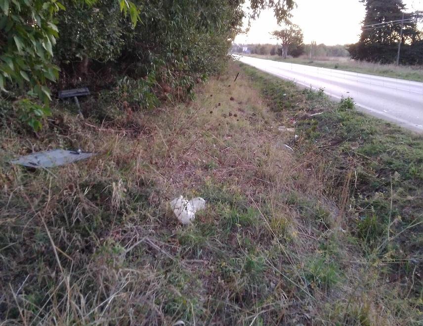 Sbalzata fuori dall’abitacolo dopo l’urto Muore a 26 anni nello schianto con l’auto 