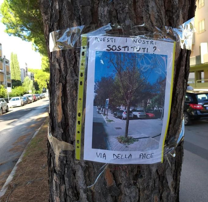 «Questi i nostri sostituti?» Nuova protesta contro i tagli 