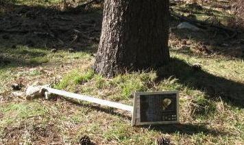 Atti vandalici al Santuario delle farfalle