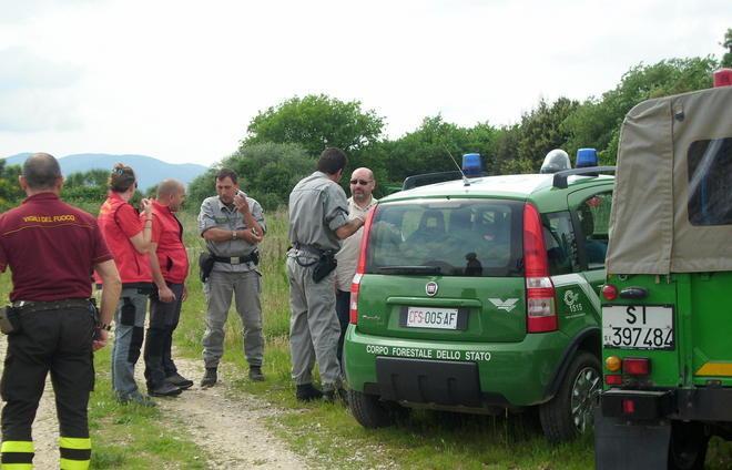 Va a fare asparagi e muore nel bosco