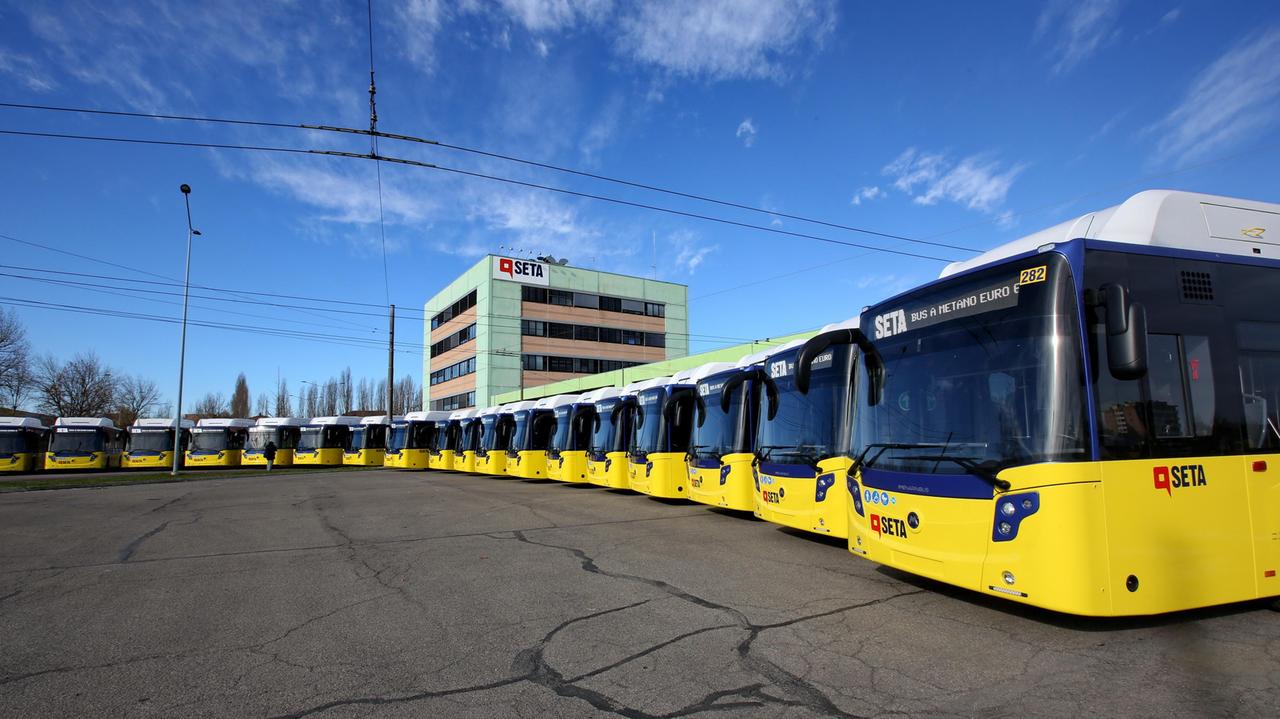 Reggio Emilia, autista Seta porta i clienti al mare e a ballare con il bus: condannato