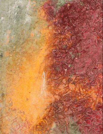 Vignola, nelle “criografie” di Menetti la natura mostra la creatività 