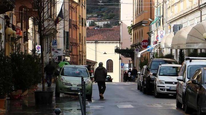 Platani nel viale dei Bagni: prima l’accordo, poi si parte