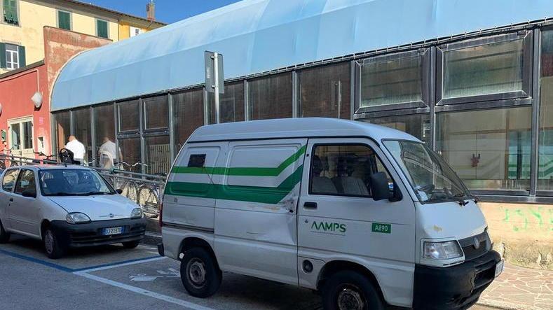Topi all’asilo, il Comune chiude l’Alveare