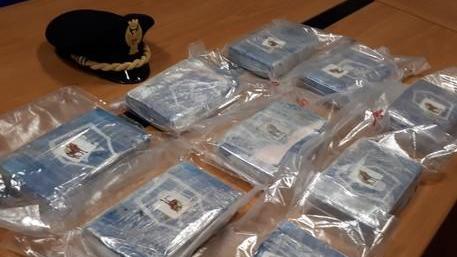 Sequestrati 12 chili di cocaina per un valore di circa 3 milioni
