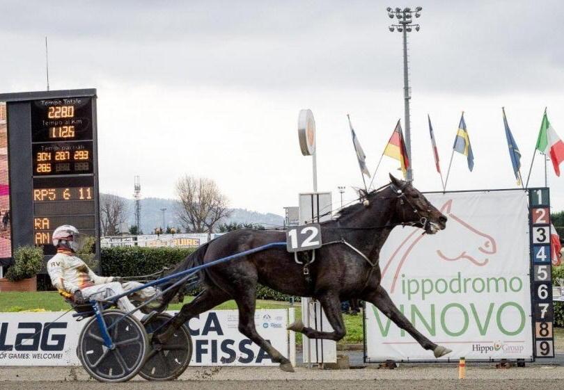 Zacon Gio, che guidato da Roberto Vecchione, vince il Gran Premio Città di Torino (ufficio stampa ippodromo di Torino)