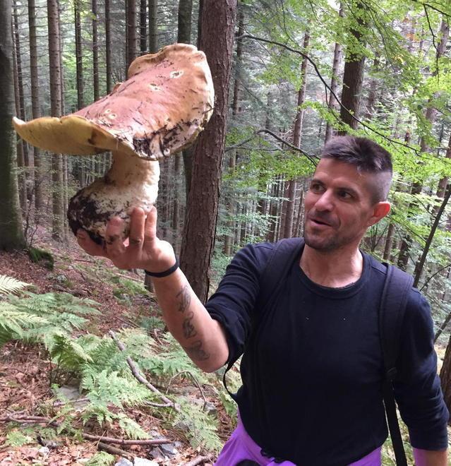 Trovano un fungo record da 1,750 chili 