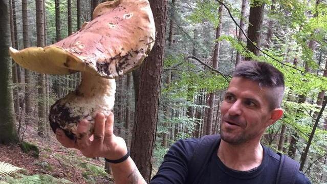 Trovano un fungo record da 1,750 chili