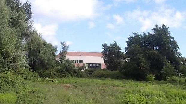 Capannoni al posto del bosco di pioppi: protestano i residenti