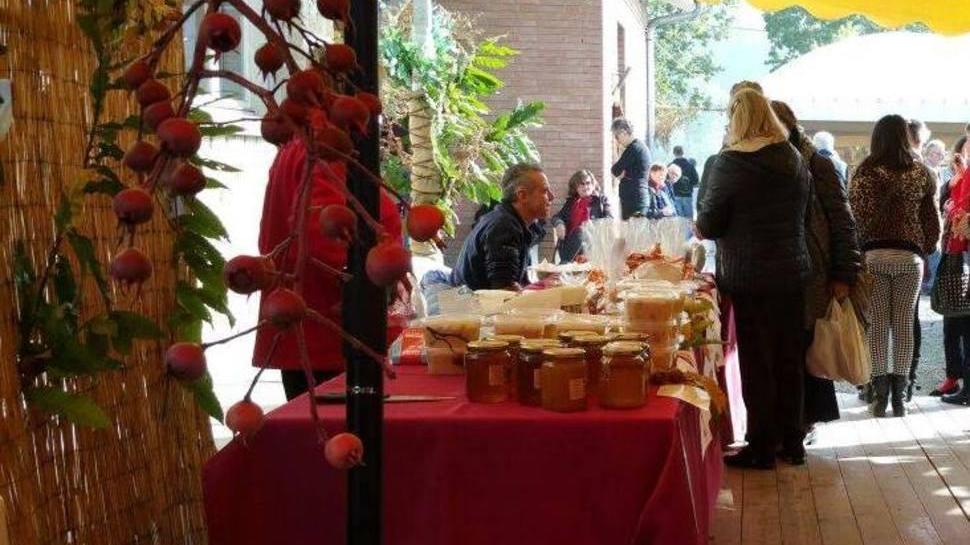 Caldarroste, a Marola inizia la festa