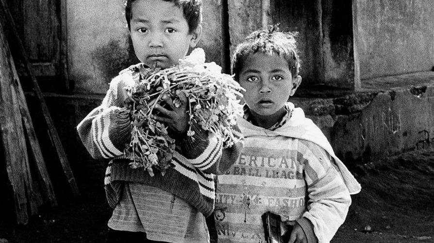 I clic di Codazzi dal Madagascar al Palazzo dei Principi