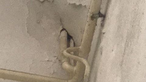 Sicurezza a scuola, istituzioni dietro lavagna