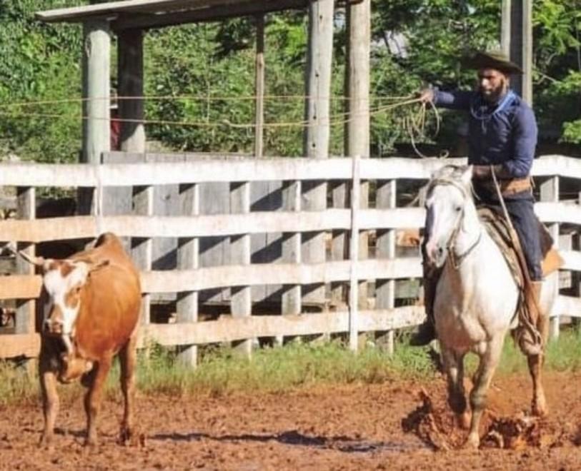 Rincorreva le punte, ora le mucche: Maicon si è dato ai ranch brasiliani 