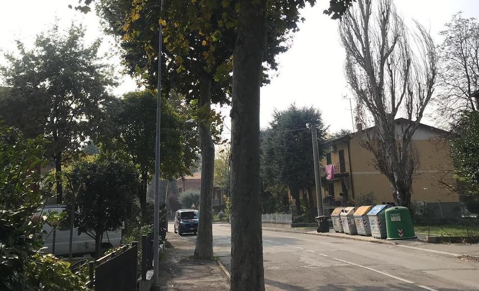 Avvelenano gli alberi Denuncia del Comune e indagini della Forestale