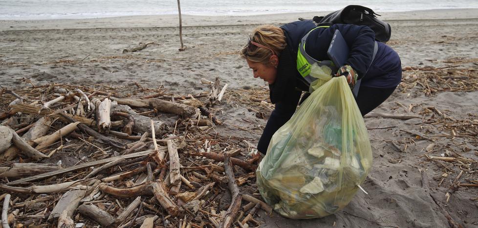 Da Nazioni a Volano per pulire spiaggia e parte della pineta
