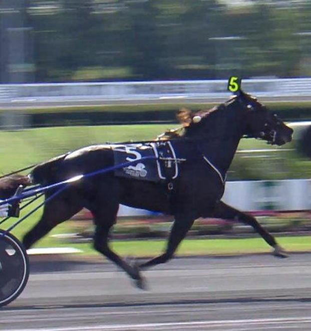 Zacon Gio vince l’International Trot a New York 