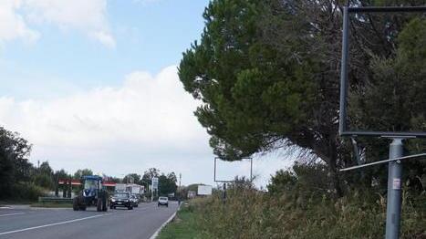 Travolto e ucciso dal pirata della strada Il conducente si costituisce il giorno dopo