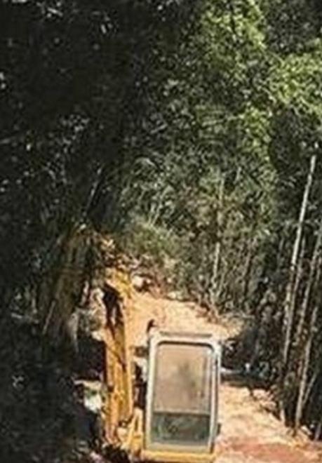 «Rifatela com’era» L’azienda La Valle ripristini l’antica via sul Monte Coronato 