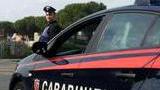 Inseguiti dopo il furto nell’azienda Carlotti finiscono fuori strada