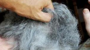 «Rubi il formaggio». Badante sfodera il coltello, denunciata