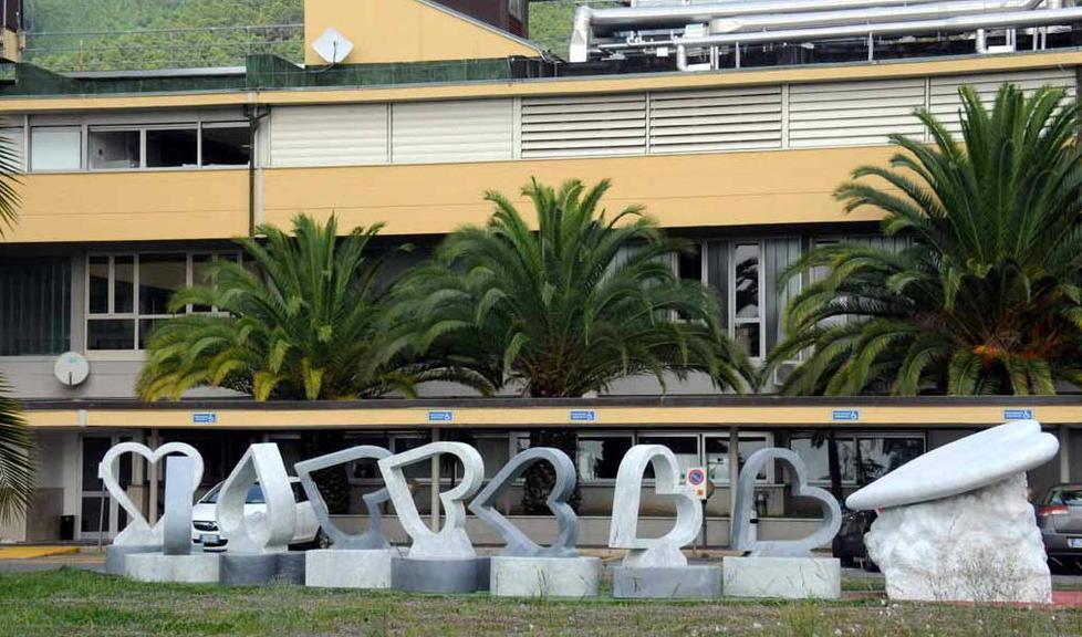 Malore mentre gioca a basket, 15enne salvato dall'operazione al cuore 