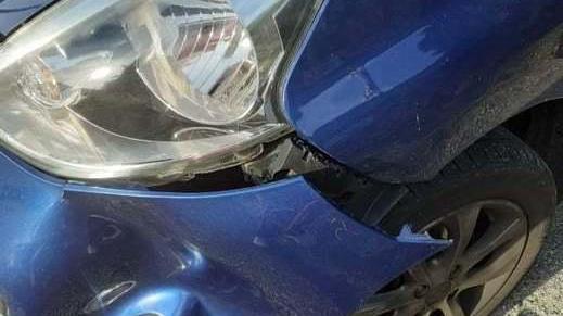 Si schianta con l'auto contro un capriolo