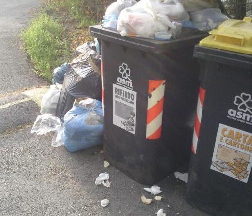 «Gettano i rifiuti fuori dai cassonetti»