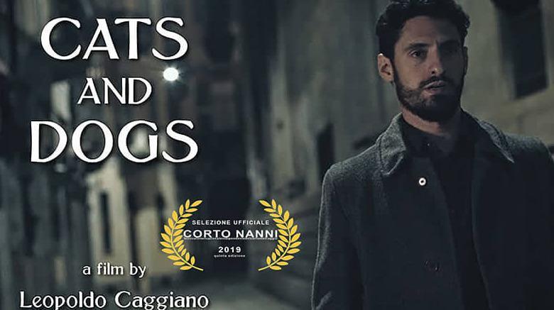 Successo dell’arte in video grazie al festival “Corto Nanni” 