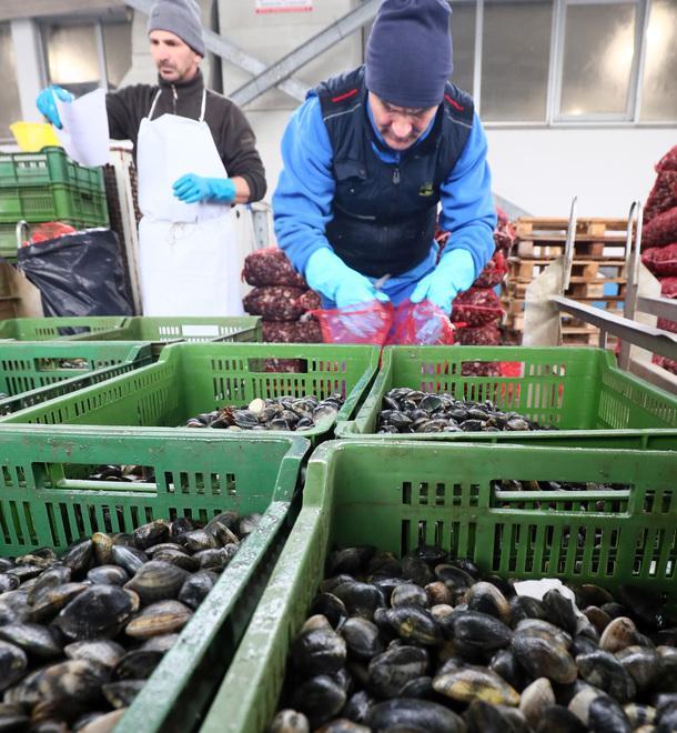 Unife “coltiva” un nuovo corso in materie agrarie e acquacoltura 