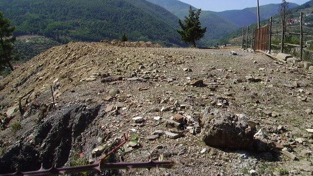 Piazzale con baracche e animali nel cuore verde del Monteferrato 