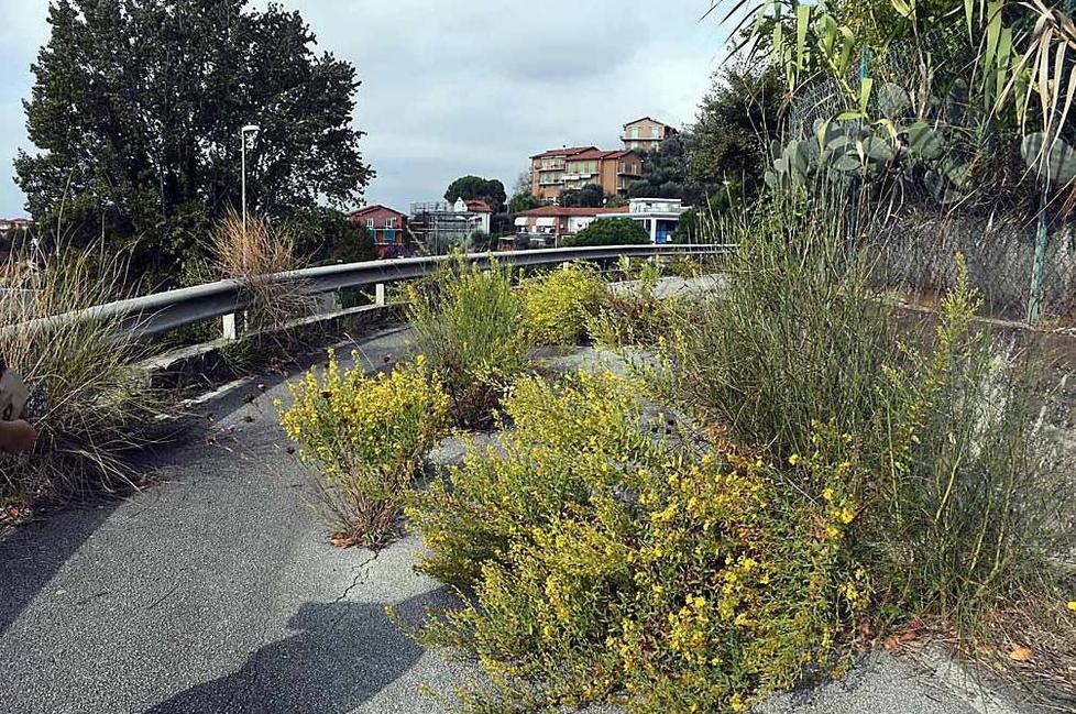 Ex ospedale di Massa: l’incuria, il gigante vuoto e un mega parcheggio dimenticato 