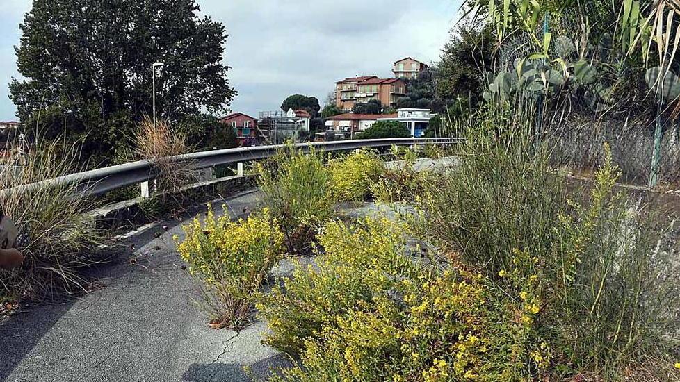 Ex ospedale di Massa: l’incuria, il gigante vuoto e un mega parcheggio dimenticato