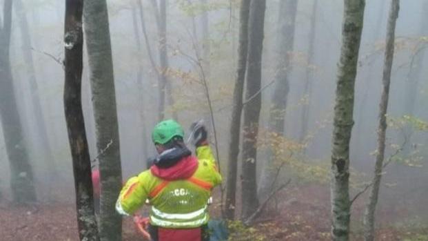 Muore a 63 anni mentre cerca funghi nel bosco