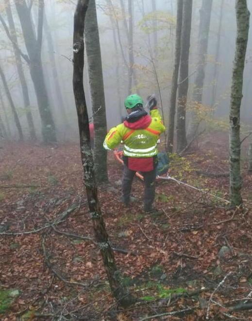 Cercatore di funghi muore nel bosco davanti a figlio e amici 