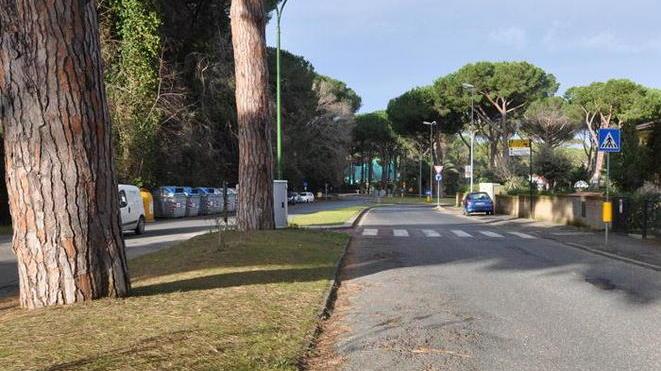Sos buche, piano di asfaltatura per le strade di Castagneto