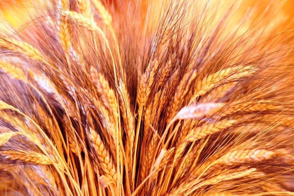 «Malattia riconosciuta In Toscana esami gratis per monitorare la salute» 