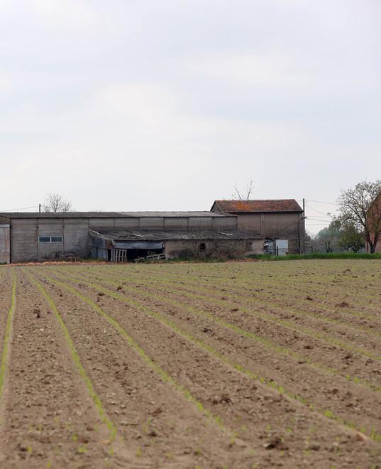 Ferrara, Imu più bassa e via la Tasi: mano tesa agli agricoltori 