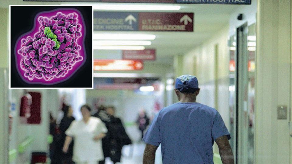 Una corsia di ospedale e (in alto) il superbatterio al microscopio