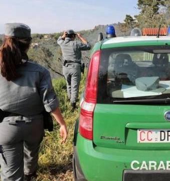 Controlli dei carabinieri forestali