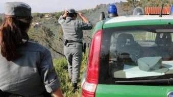 Controlli dei carabinieri forestali
