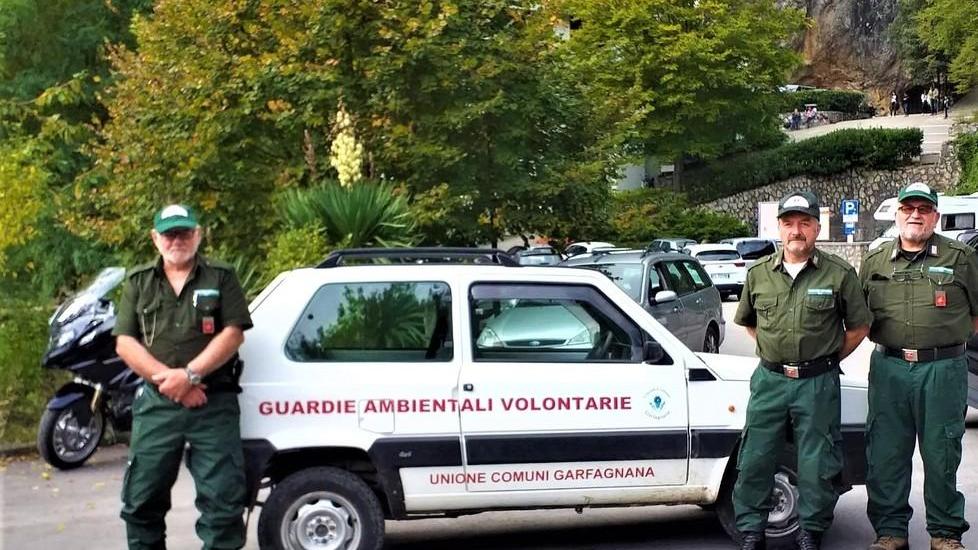 Cercatori come vandali Aumentano i controlli nei boschi di Fabbriche