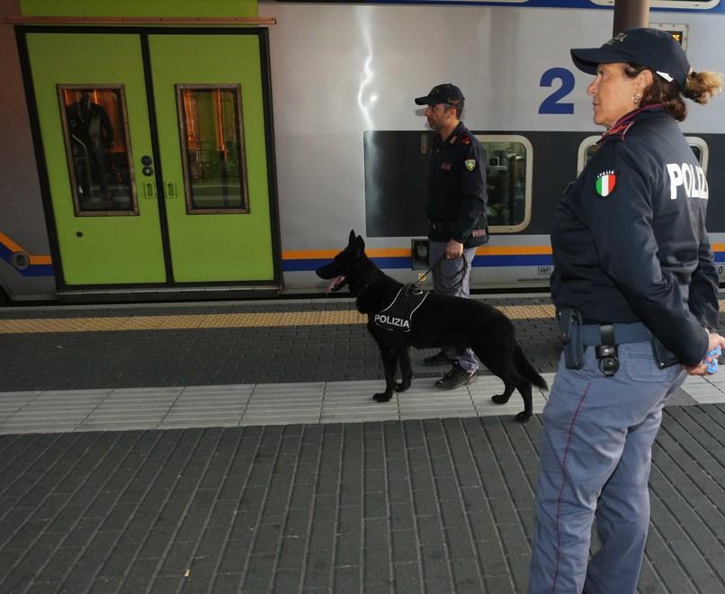 Nascosti dentro i cespugli delle ex Reggiane quattro panetti di hascisc
