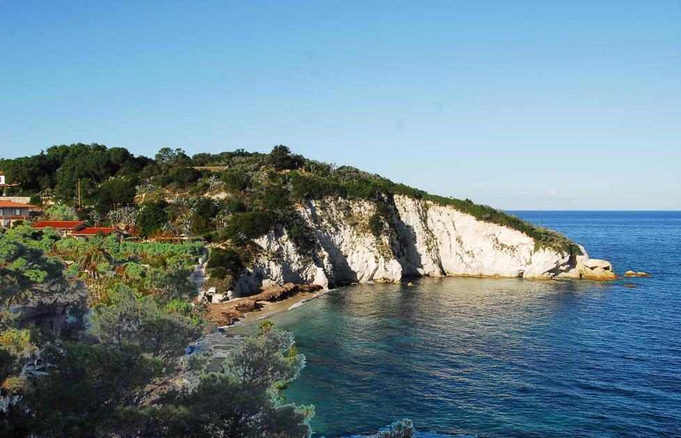 Area marina protetta elbana tavolo riaperto dopo 15 anni 