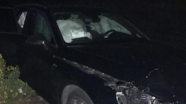 Capriolo attraversa la strada: «Io, vivo per miracolo»