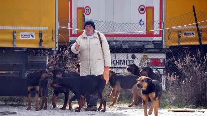 «Bastoni nel piazzale per scacciare i cani»