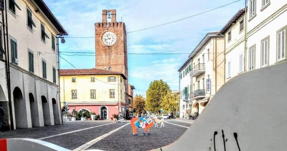 “Transumanza” in mostra